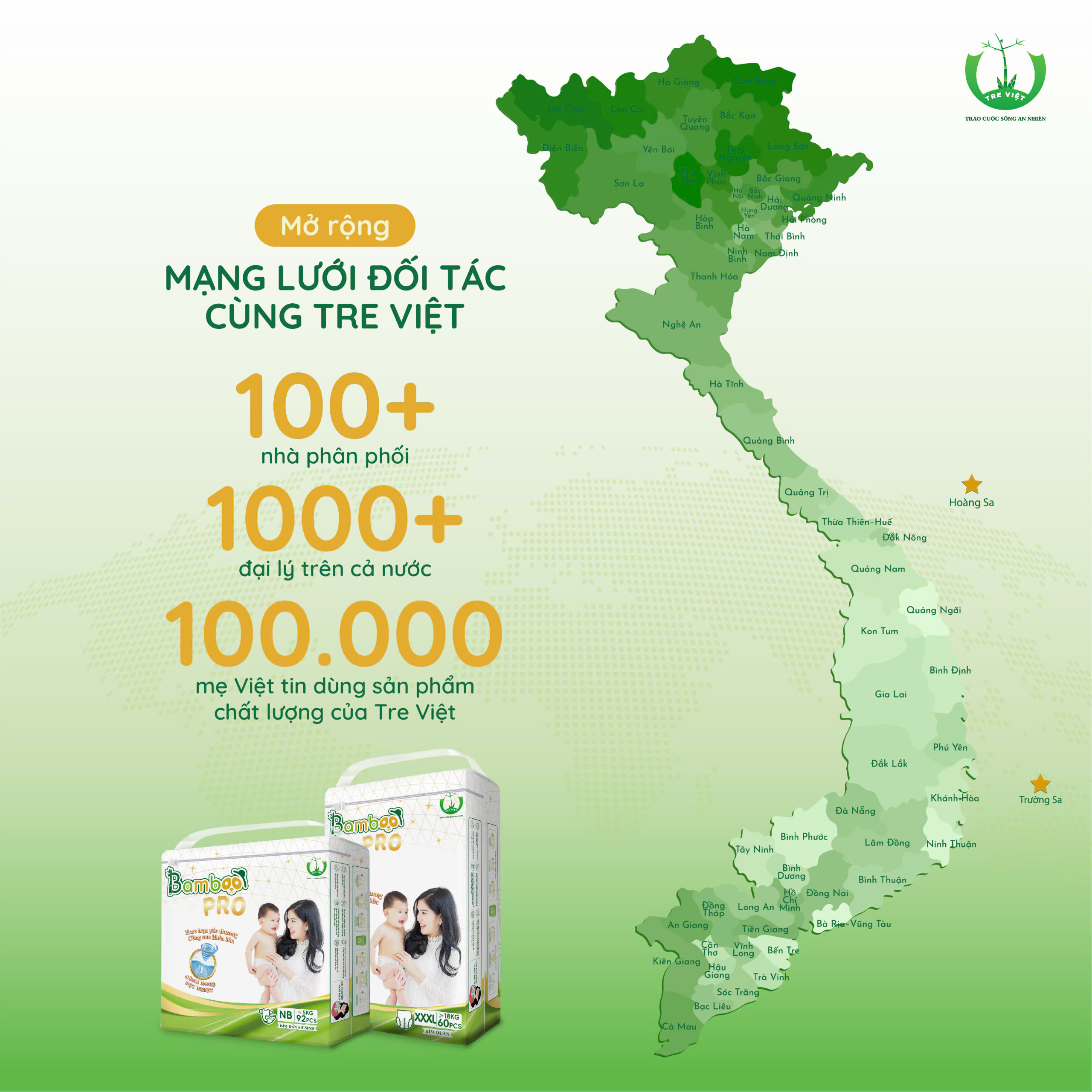 Hệ thống NPP – Đại lý Bamboo Pro